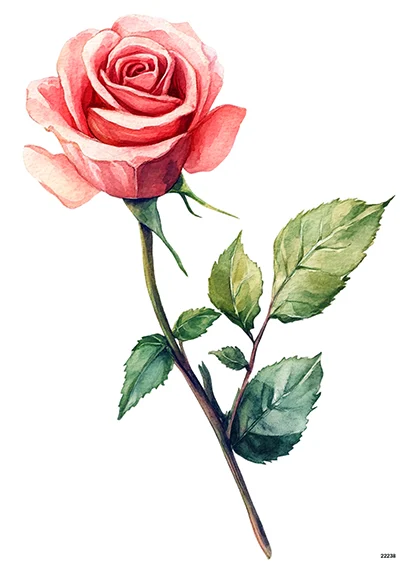 Róże