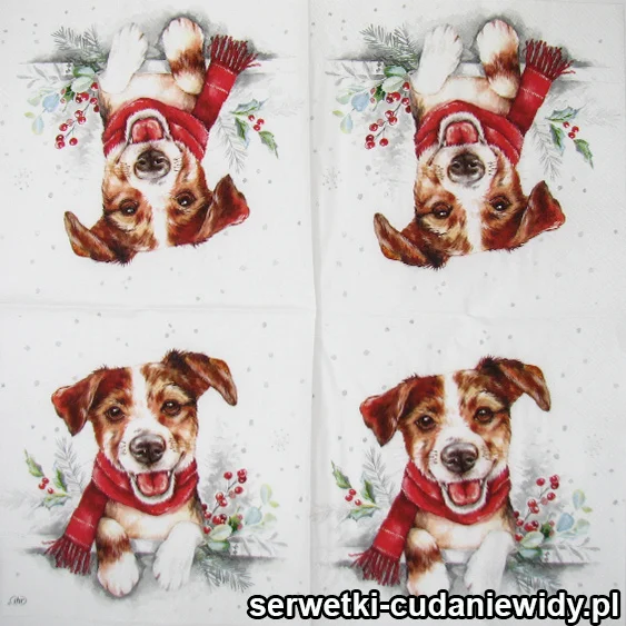3337 JACK TERRIER W SZALIKU serwetki pojedyncze