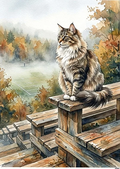 CN25403 papier ryżowy KOT MAINE COON NA ŁAWCE