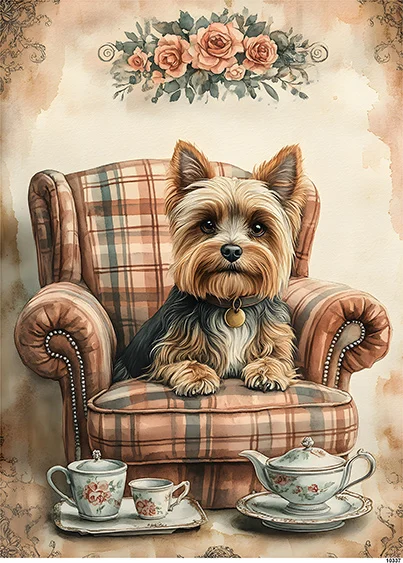 CN10337 papier ryżowy YORKSHIRE TERRIER NA FOTELU