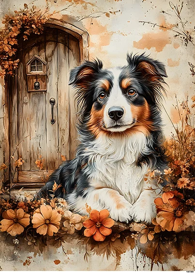 CN10789 papier ryżowy OWCZAREK AUSTRALIJSKI I STARE DRZWI