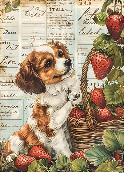 CN10878 papier ryżowy CAVALIER KING I KOSZYK TRUSKAWEK