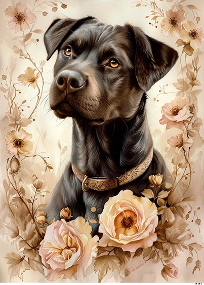 CN11141 papier ryżowy CZARNY LABRADOR