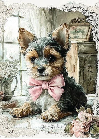 CN11414 papier ryżowy YORKSHIRE TERRIER W POKOJU