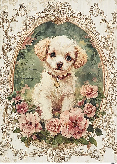 CN12367 papier ryżowy MALTIPOO W RAMCE Z RÓŻAMI