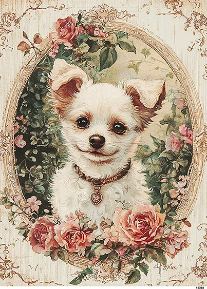 CN12368 papier ryżowy UŚMIECHNIĘTY CHIHUAHUA DŁUGOWŁOSY