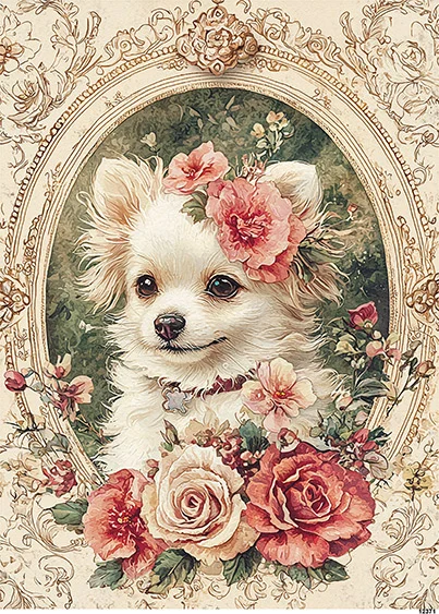 CN12371 papier ryżowy CHIHUAHUA DŁUGOWŁOSY W RAMCE