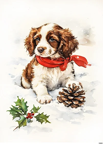 CN16620 papier ryżowy SPRINGER SPANIEL W CZERWONEJ CHUSTCE