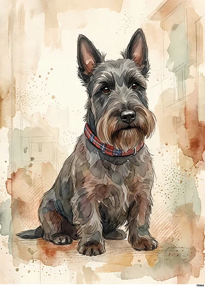 CN19844 papier ryżowy AKWARELOWY TERRIER SZKOCKI