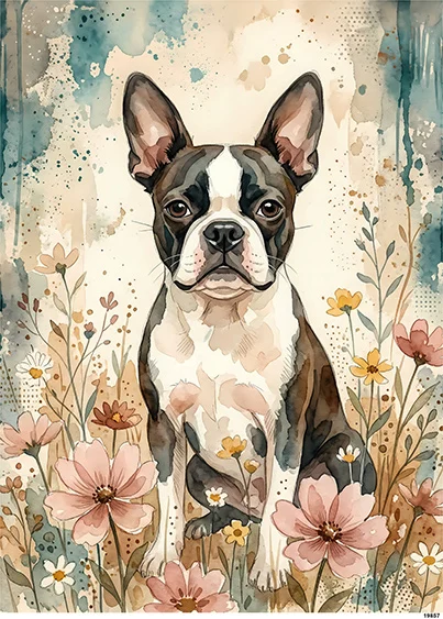 CN19857 papier ryżowy AKWARELOWY BOSTON TERRIER
