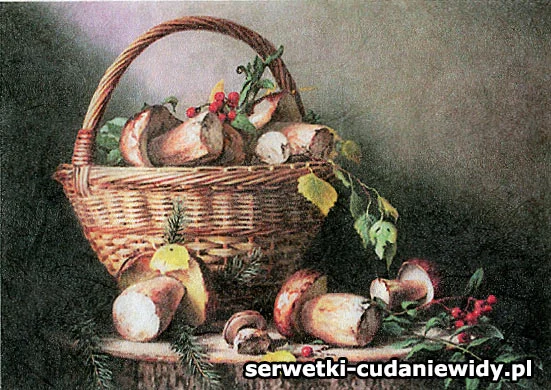 RC007985-A6 Grzyby w koszu