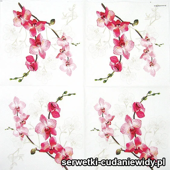 2877 Orchidea Różowa