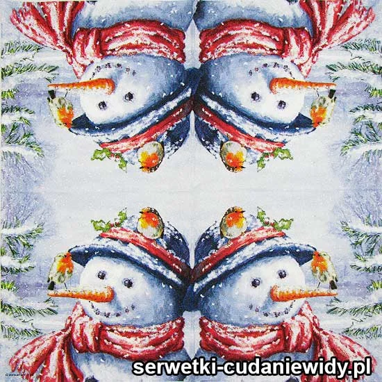 2907 Prawidłowy Bałwan