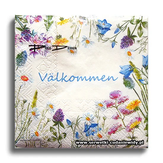 3592PACZKA Valkommen