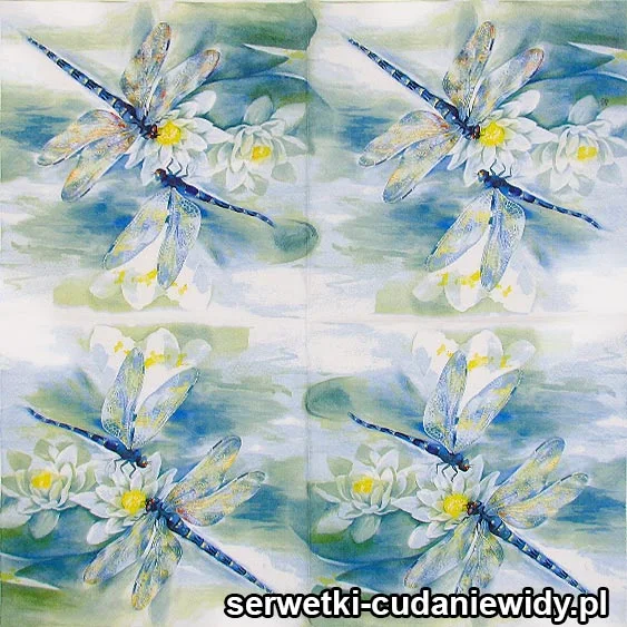 66766 WAŻKI NAD KACZEŃCEM serwetki pojedyncze