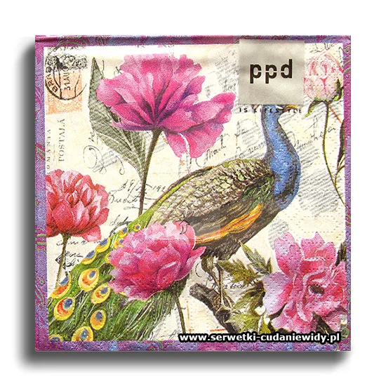3842PACZKA Saravan