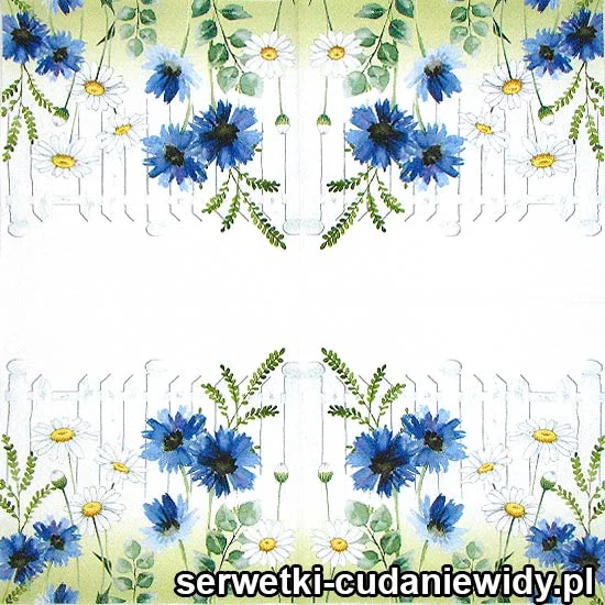 66897-2 Chabry I Rumianki Pod Płotem
