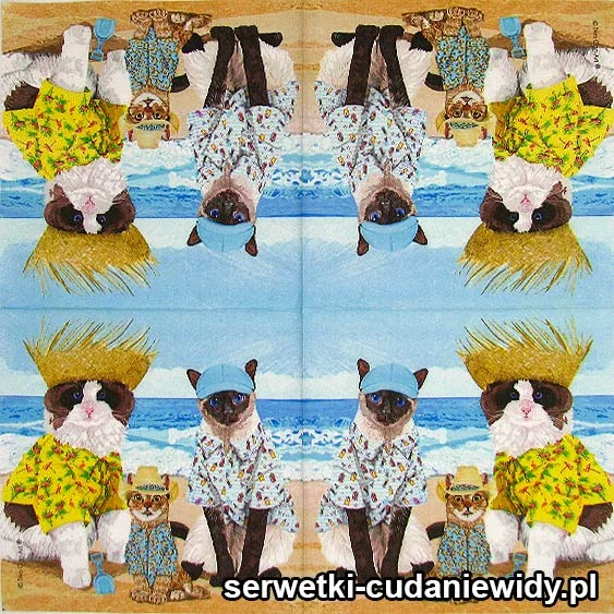 6469 Koty Na Plaży