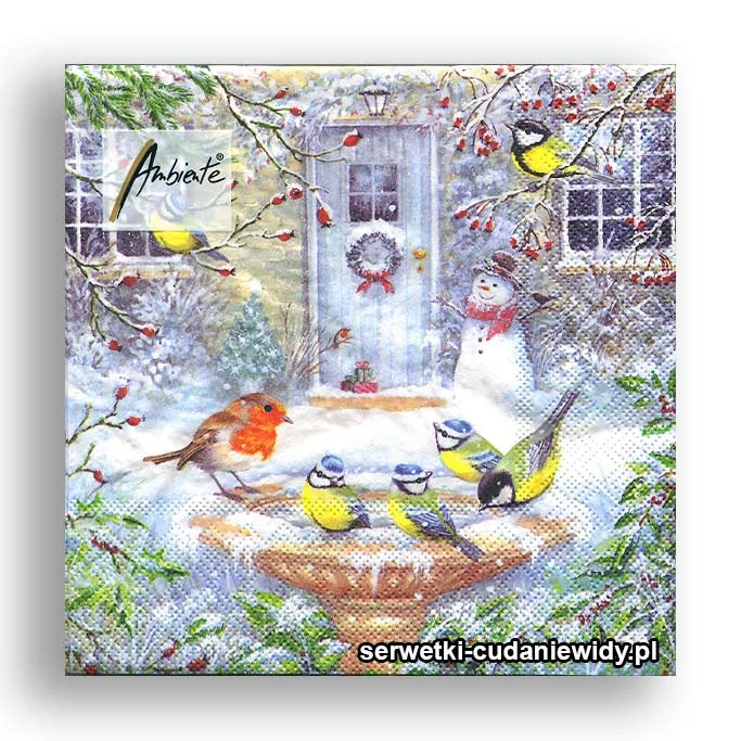 8016PACZKA Ptasia Kąpiel SERWETKI PACZKA 20 szt